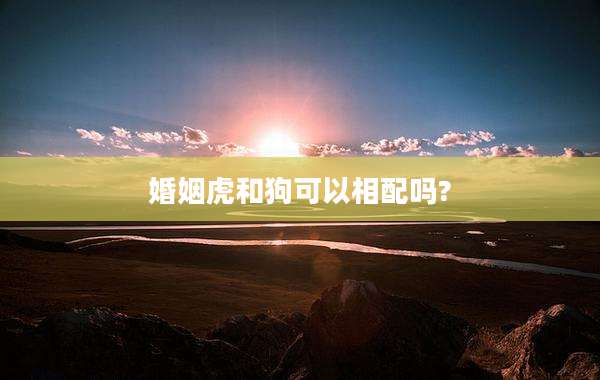 婚姻虎和狗可以相配吗?