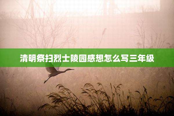 清明祭扫烈士陵园感想怎么写三年级