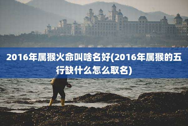 2016年属猴火命叫啥名好(2016年属猴的五行缺什么怎么取名)