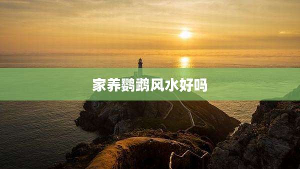 家养鹦鹉风水好吗