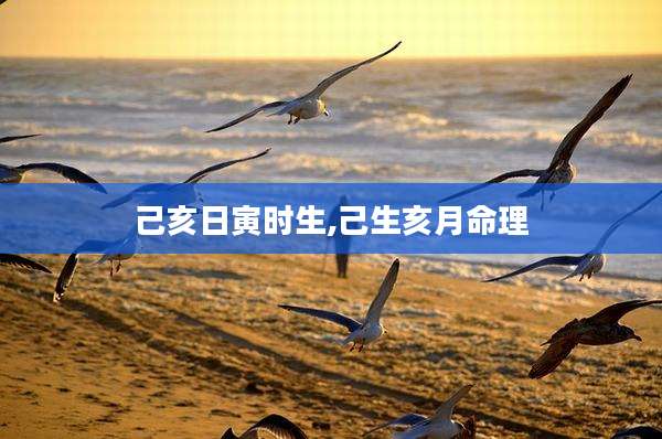 己亥日寅时生,己生亥月命理