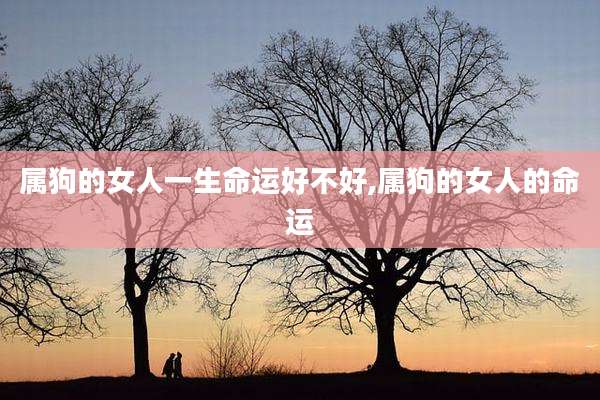 属狗的女人一生命运好不好,属狗的女人的命运