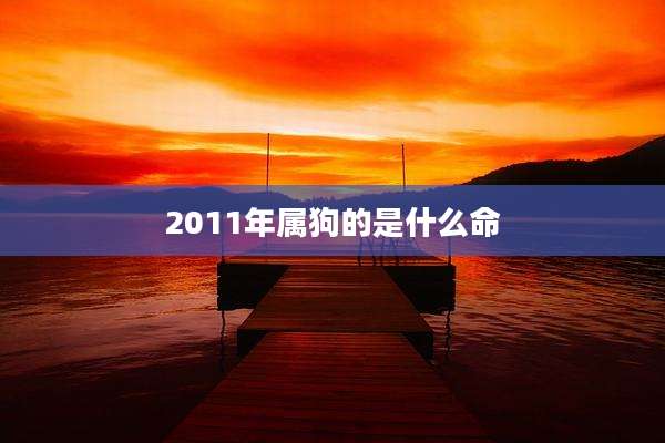 2011年属狗的是什么命