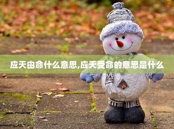 应天由命什么意思,应天受命的意思是什么