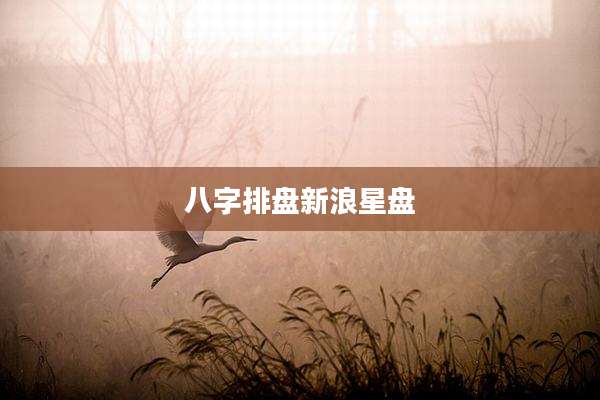 八字排盘新浪星盘