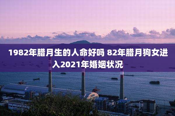 1982年腊月生的人命好吗 82年腊月狗女进入2021年婚姻状况