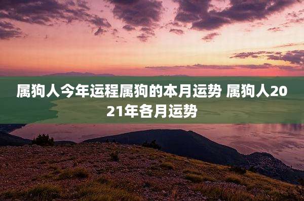 属狗人今年运程属狗的本月运势 属狗人2021年各月运势