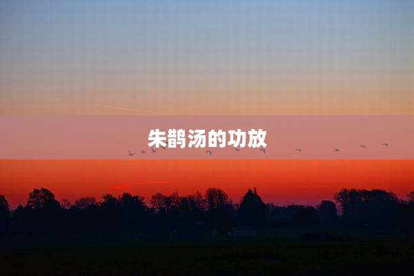 朱鹊汤的功放