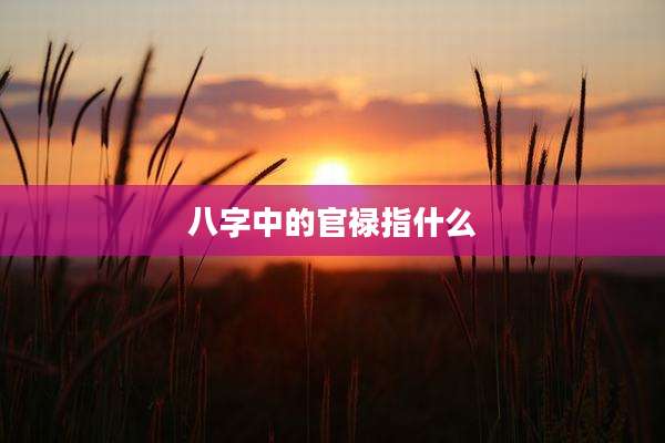 八字中的官禄指什么