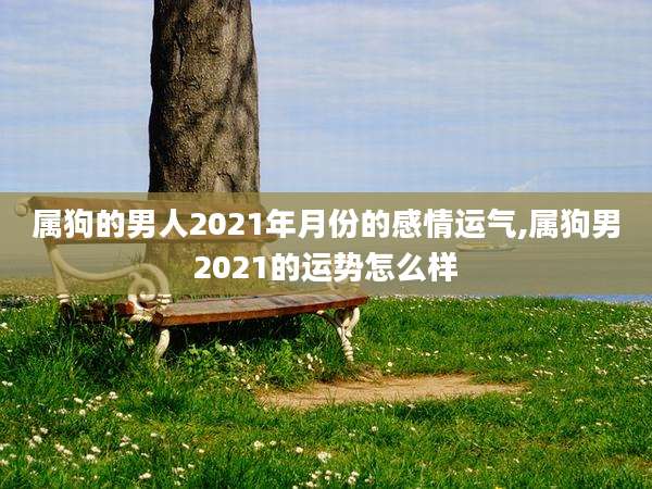 属狗的男人2021年月份的感情运气,属狗男2021的运势怎么样