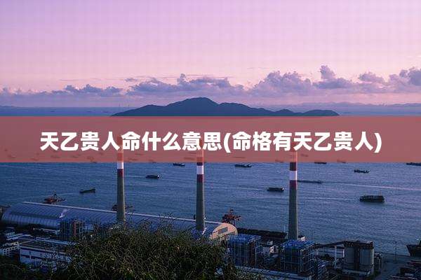 天乙贵人命什么意思(命格有天乙贵人)