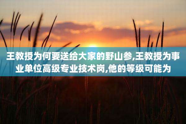 王教授为何要送给大家的野山参,王教授为事业单位高级专业技术岗,他的等级可能为
