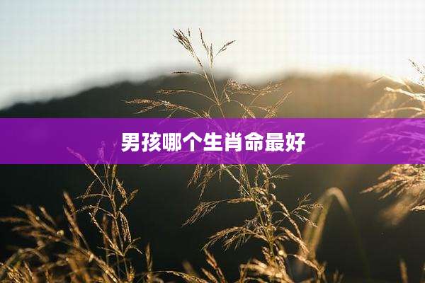 男孩哪个生肖命最好