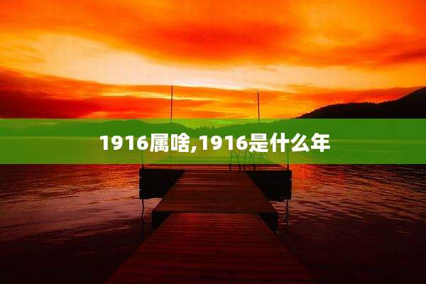 1916属啥,1916是什么年