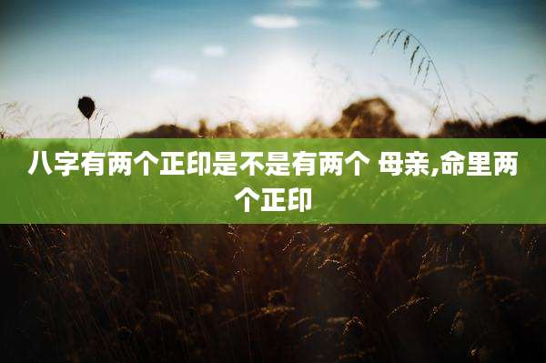 八字有两个正印是不是有两个 母亲,命里两个正印