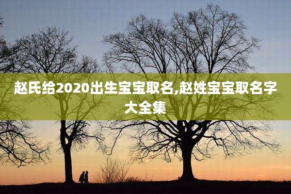赵氏给2020出生宝宝取名,赵姓宝宝取名字大全集