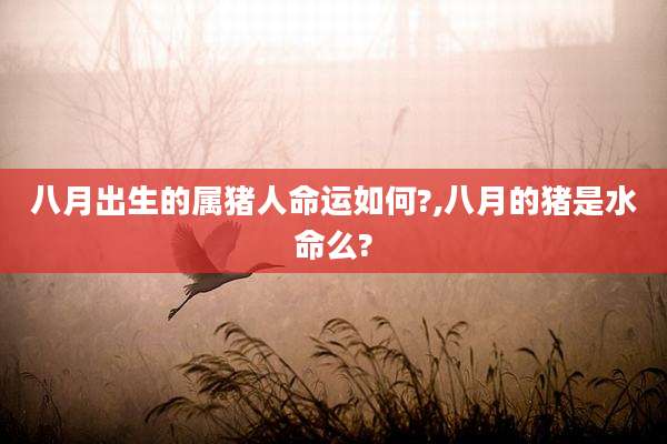 八月出生的属猪人命运如何?,八月的猪是水命么?