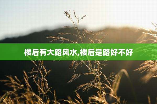 楼后有大路风水,楼后是路好不好