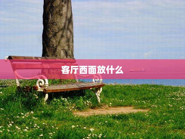 客厅西面放什么