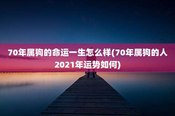 70年属狗的命运一生怎么样(70年属狗的人2021年运势如何)