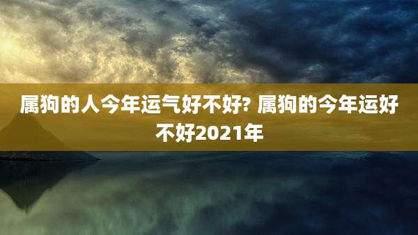 属狗的人今年运气好不好? 属狗的今年运好不好2021年