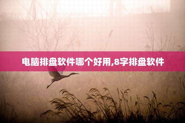 电脑排盘软件哪个好用,8字排盘软件