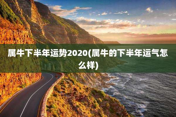 属牛下半年运势2020(属牛的下半年运气怎么样)