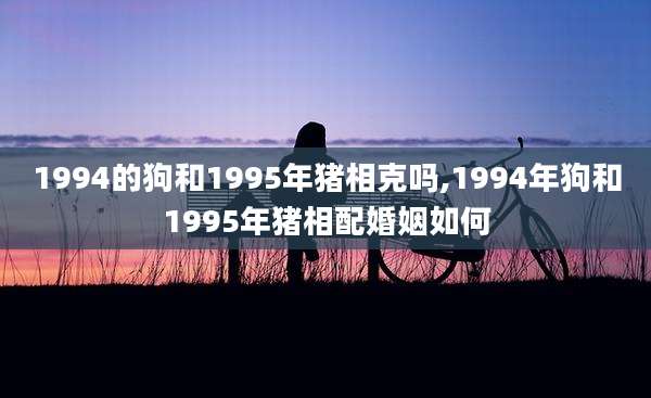 1994的狗和1995年猪相克吗,1994年狗和1995年猪相配婚姻如何