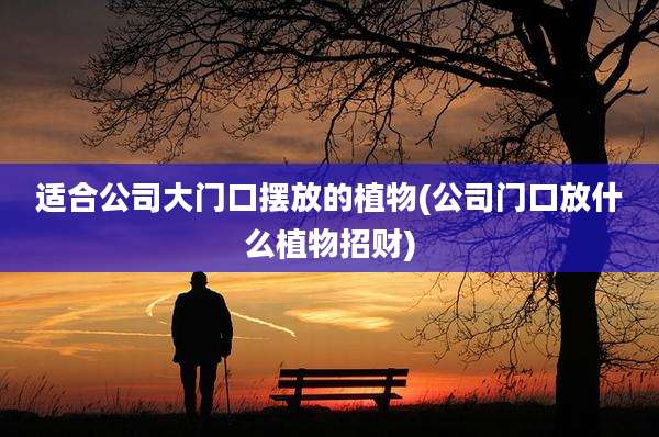 适合公司大门口摆放的植物(公司门口放什么植物招财)