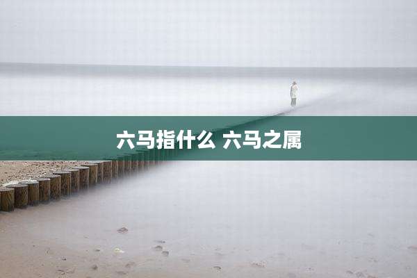 六马指什么 六马之属