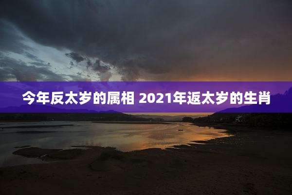 今年反太岁的属相 2021年返太岁的生肖