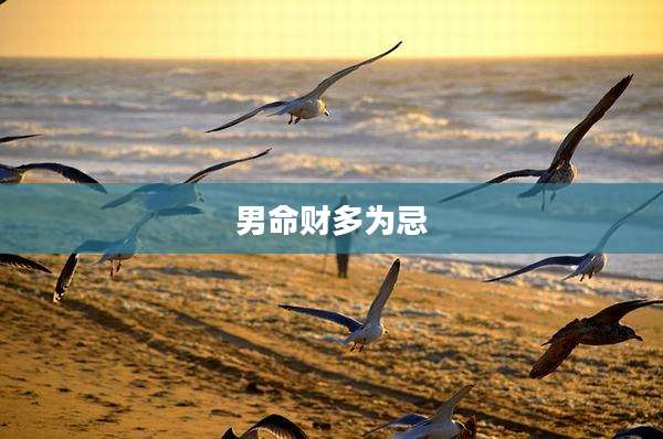 男命财多为忌
