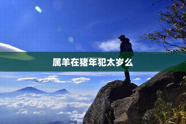 属羊在猪年犯太岁么