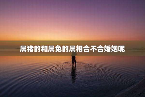 属猪的和属兔的属相合不合婚姻呢
