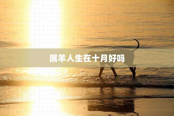 属羊人生在十月好吗