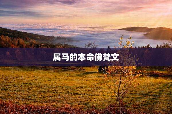属马的本命佛梵文