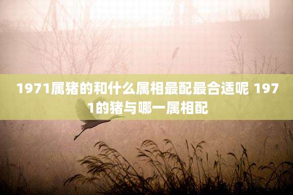 1971属猪的和什么属相最配最合适呢 1971的猪与哪一属相配