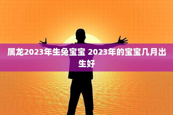 属龙2023年生兔宝宝 2023年的宝宝几月出生好