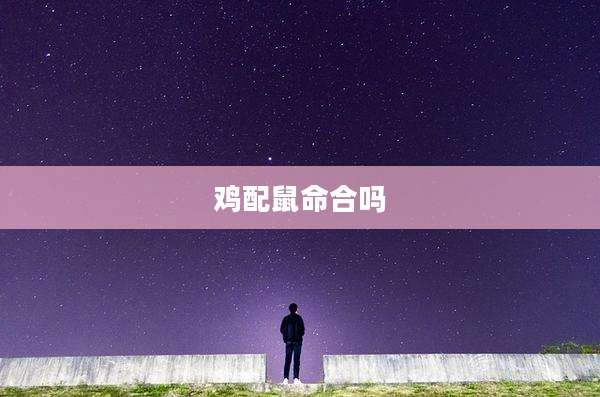 鸡配鼠命合吗