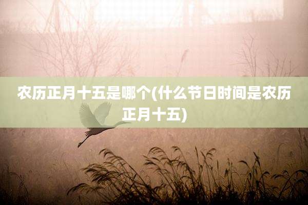 农历正月十五是哪个(什么节日时间是农历正月十五)