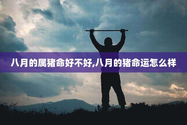 八月的属猪命好不好,八月的猪命运怎么样