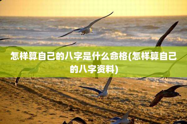 怎样算自己的八字是什么命格(怎样算自己的八字资料)