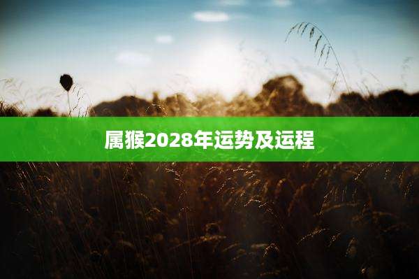 属猴2028年运势及运程