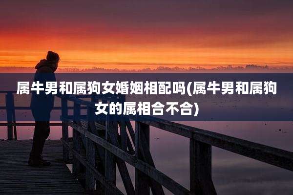 属牛男和属狗女婚姻相配吗(属牛男和属狗女的属相合不合)