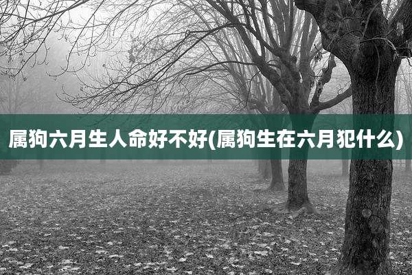 属狗六月生人命好不好(属狗生在六月犯什么)