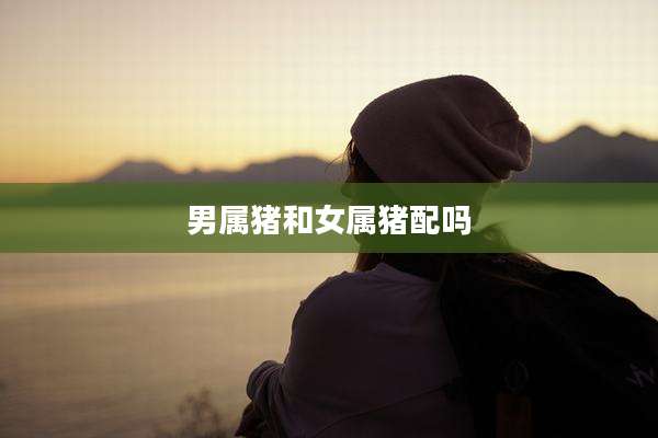 男属猪和女属猪配吗