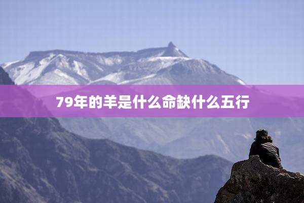 79年的羊是什么命缺什么五行