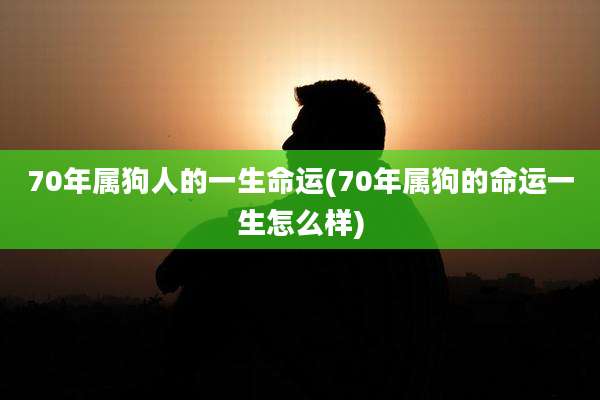 70年属狗人的一生命运(70年属狗的命运一生怎么样)
