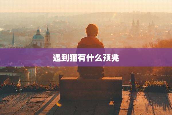 遇到猫有什么预兆