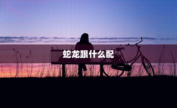 蛇龙跟什么配